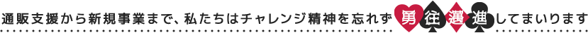 通販支援から新規事業まで、私たちはチャレンジ精神を忘れず勇往邁進してまいります。