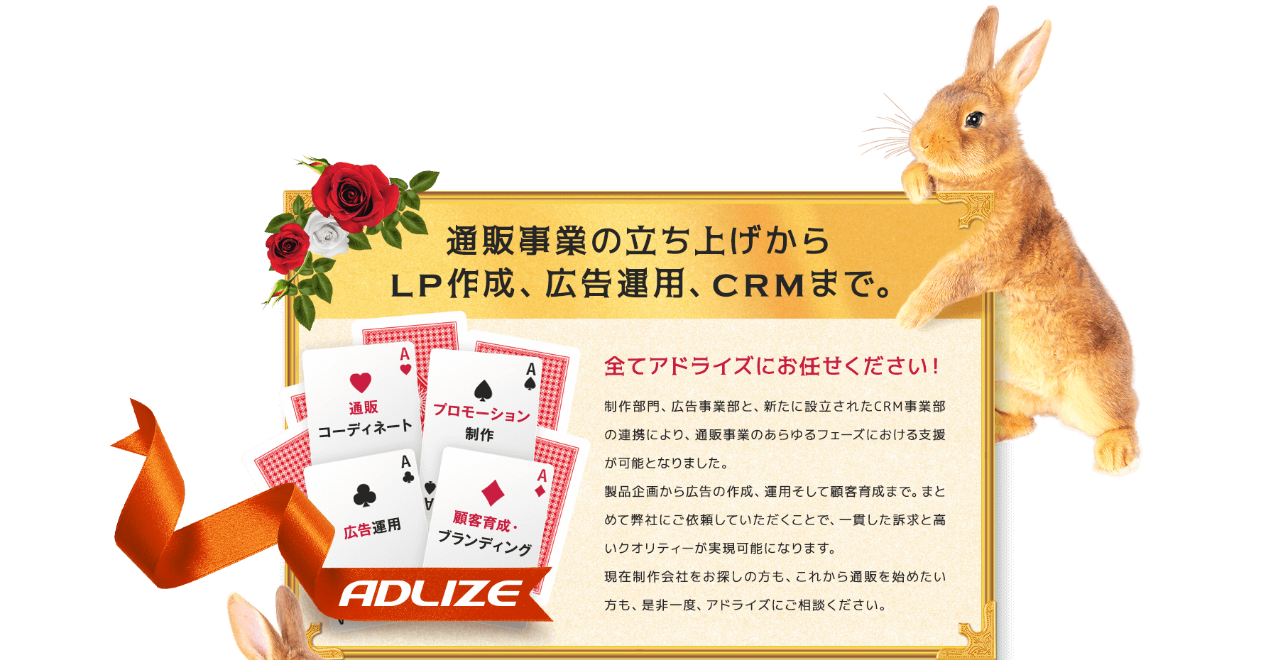 通販事業の立ち上げからLP作成、広告運用、CRMまで。